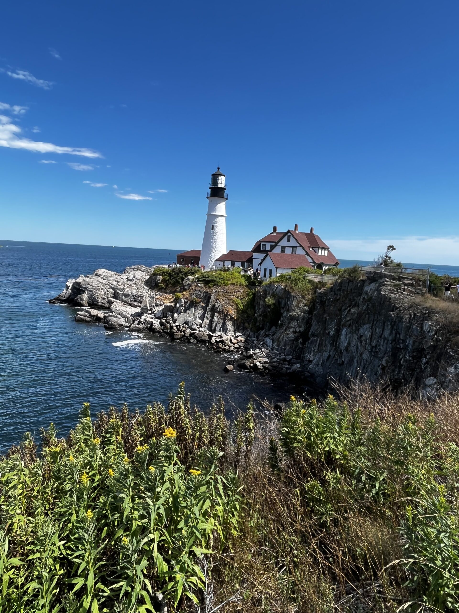 The Ultimate Acadia National Park Trip in 4 Days - Thrifty Girl Travel