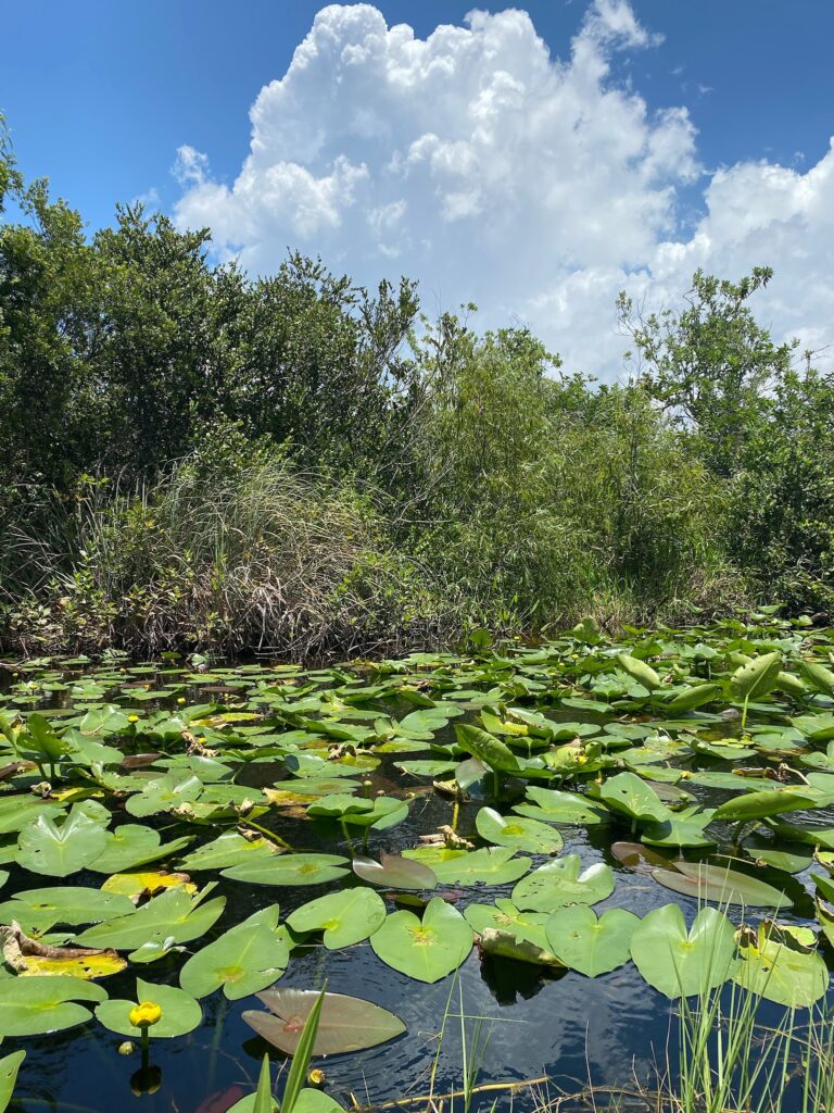 Everglades National Park Trip