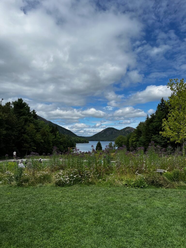 Jordan Pond. A pond surrounded by grassy rolling hills. 