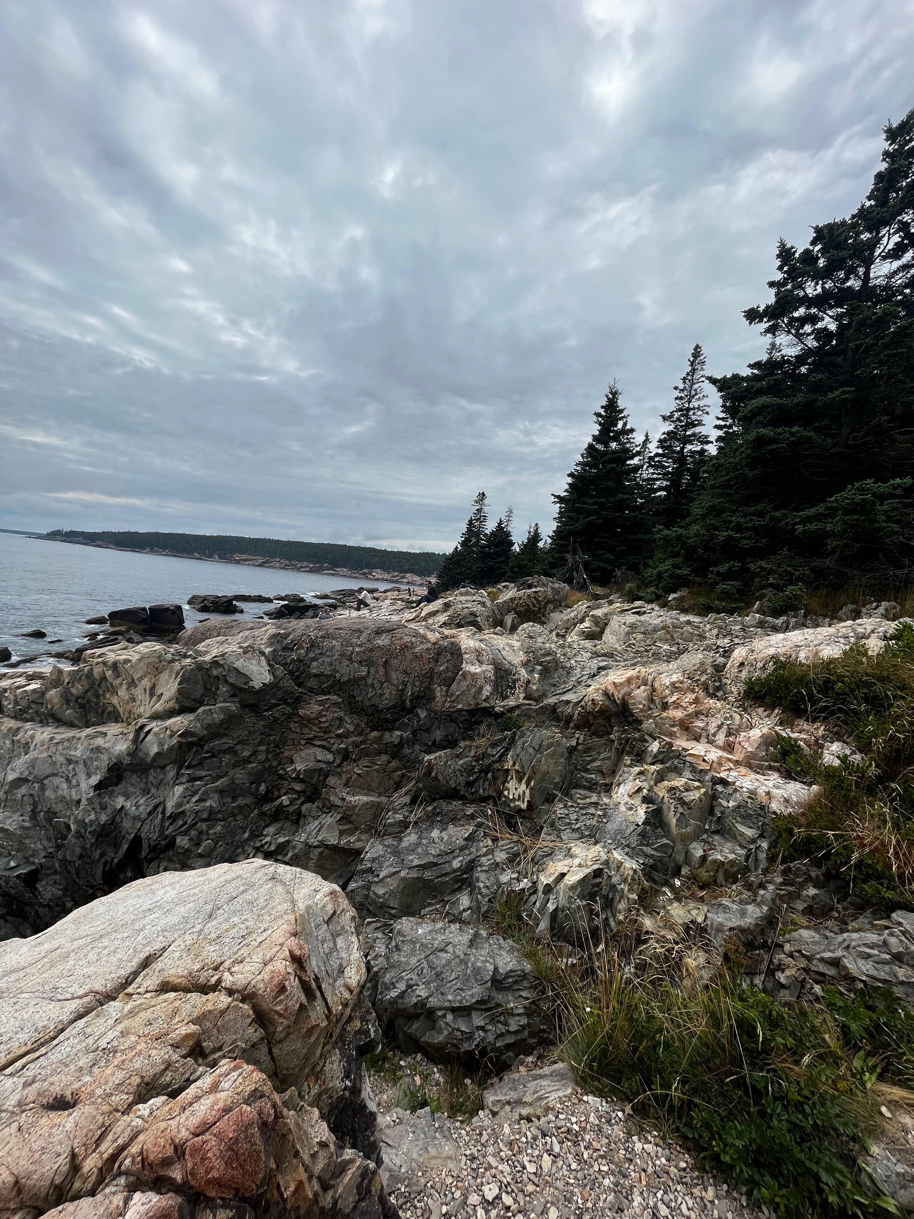 Acadia National park in one day: featuring rocky cliffs, beautiful blue oceans, and rolling green hills