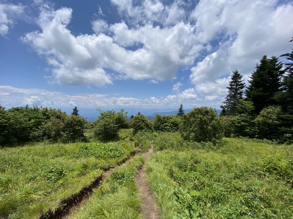 Andrew's Bald Hike in Great Smoky Mountain National Park. A good hike for an Asheville Bachelorette Party. 